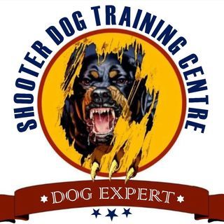 Shooter Dog Academy
