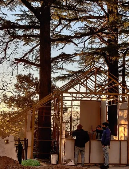 The beginnings of our placemaking project at Woodstock, constructing a new community hub under the deodar trees using local materials and techniques.
