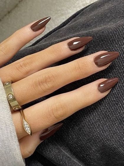 A rich, warm chocolate brown on stiletto nails. This is a perfect fall or winter shade.