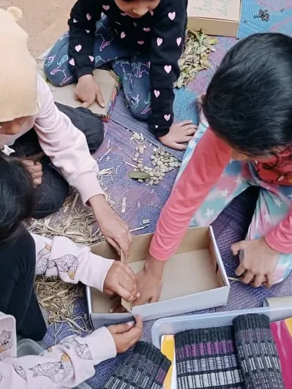 Children work together to build their own insect hotels, inspired by a visit to a local tree park. They gathered natural materials and designed compartments to attract different kinds of insects.