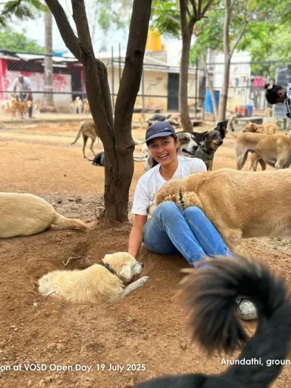 A visitor sits on the ground, completely at ease with the dogs around her. This is the peaceful, harmonious environment we strive to create.
