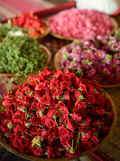 Art of Living - Religious Ceremonies & Festivals Navratri: The Grand Nine Nights photo 24