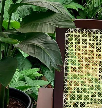 Rakshith Landscaping - Landscape Design & Installation Plant & Tree Supply photo 13