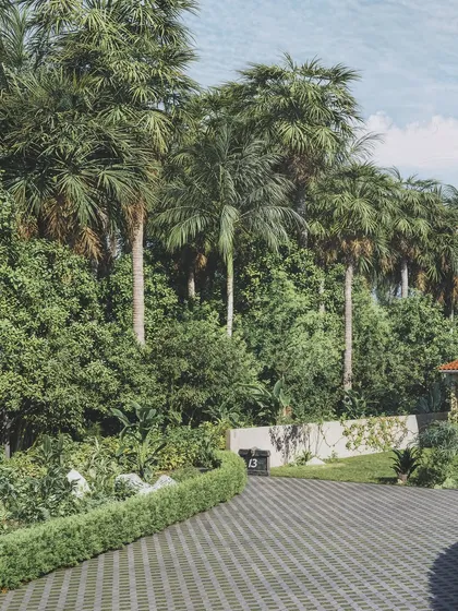 The entrance driveway to the Mediterranean villa in Goa. This rendering focuses on the lush, dense tropical foliage that creates a private and dramatic approach, with the patterned driveway leading the eye towards the property.