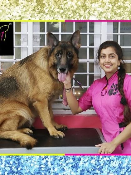 Fuzzy Wuzzy - Pet Grooming & Spa Spaniels, Retrievers & Large Breed Grooming photo 38