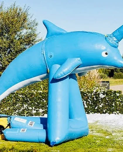 Turn your backyard into a bubble wonderland with our dolphin foam cannon. This setup is a huge hit for summer parties, creating mountains of safe, non-toxic foam for kids to dive and play in. It's a unique way to create unforgettable memories.