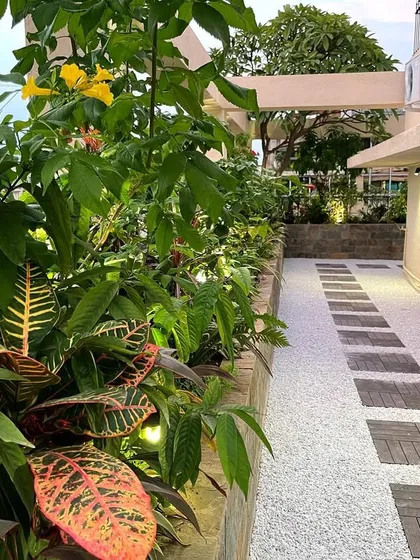 A beautiful evening view of a corporate terrace garden we recently revamped. The design incorporates a clean, modern aesthetic with a gravel and wood paver pathway, raised planters with colorful crotons and yellow bell flowers, and strategic lighting to make the space usable after dark.
