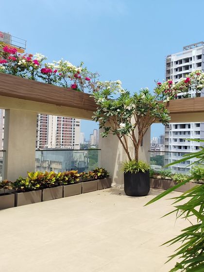 Terrace & Bungalow Landscaping photo 11