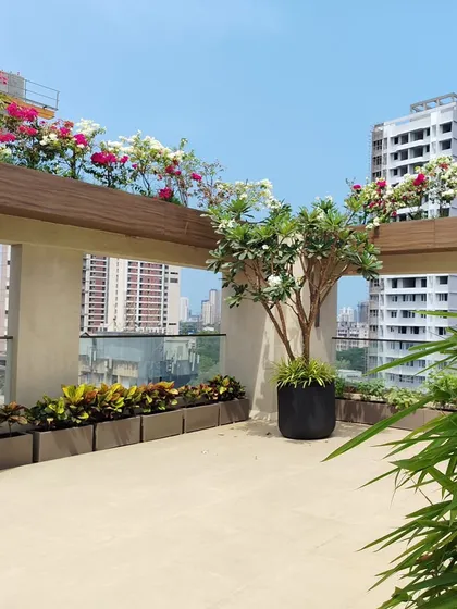 This view highlights the layered design of the terrace, with a large Plumeria tree in the foreground and colorful Bougainvillea on the upper level, creating depth and interest.