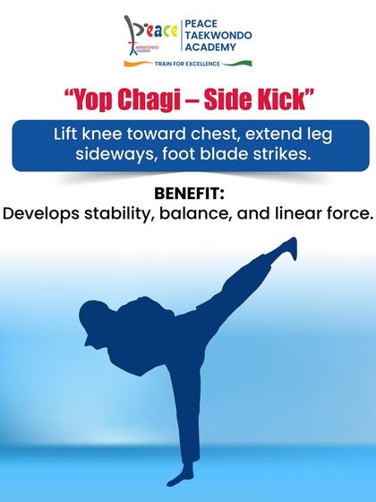 Learn the Art: Taekwondo for Beginners photo 10