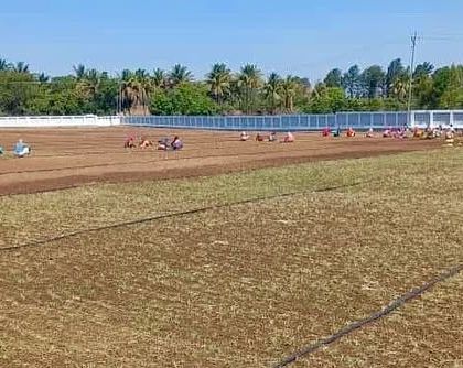 The podium garden project during the construction phase, with a large team of workers planting on a massive scale.