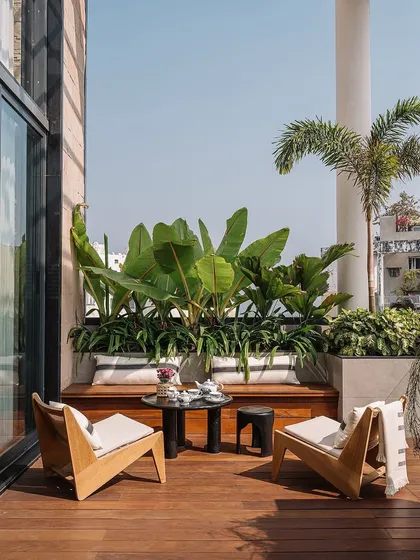 We love how our plants look in this gorgeous Kolkata bungalow. The built-in planter bench with large-leafed plants creates a beautiful, functional, and relaxing outdoor seating area.