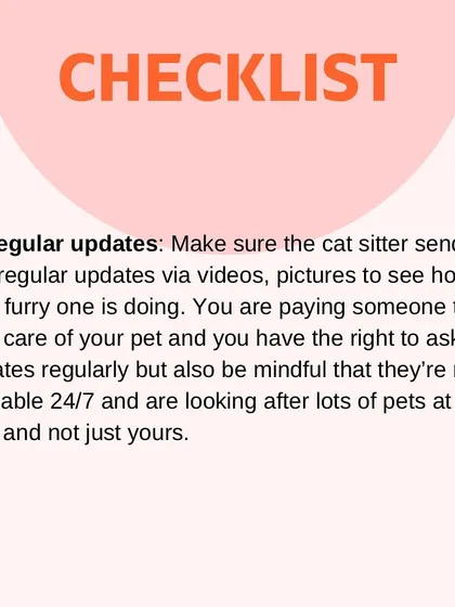 A good sitter should send you regular updates with photos and videos. I love sending these to my clients so they can see their fur baby is happy and relaxed.