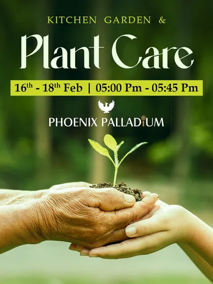It's not just about shopping. We offer free workshops on practical skills like kitchen gardening and plant care, helping you grow your own skills along with your garden.