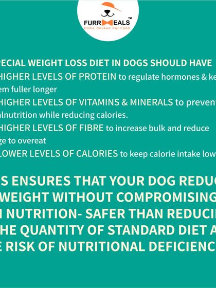 A healthy weight can give you nearly two more years with your dog. I explain why simply reducing food isn't enough and how a specially formulated diet with higher protein and fiber is the correct way to manage weight without causing malnutrition.