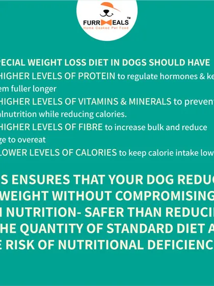 This collection of infographics and product shots provides a comprehensive guide to understanding, preventing, and managing dog obesity with my specialized diet plans and responsible treating tips.