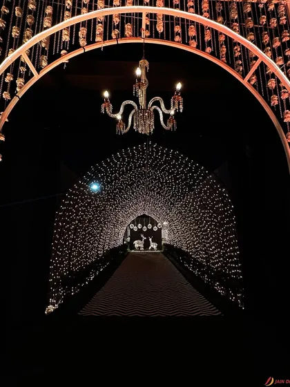 The view from the end of the starlit tunnel. The archway at the entrance is adorned with hanging floral tassels, creating a beautiful frame for the magical walkway.