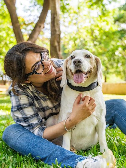 Pawparazzi By Prathima - Pet Milestone Photography Senior Tributes & Golden Years photo 9