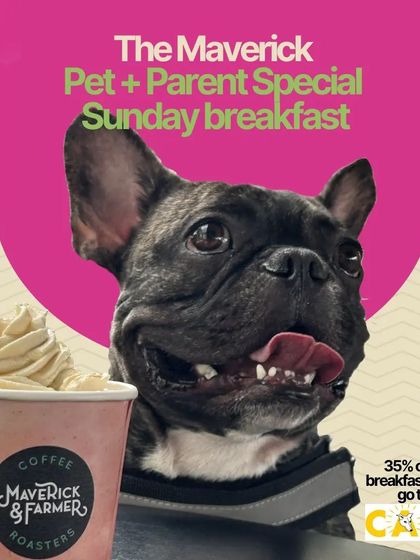 Charlie's Animal Rescue Centre - Community Outreach & Education Community Fundraising Events photo 39