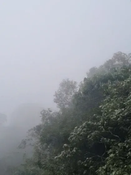 A shot of the dense fog that often covers the hills of Wayanad, creating a mysterious and beautiful atmosphere.