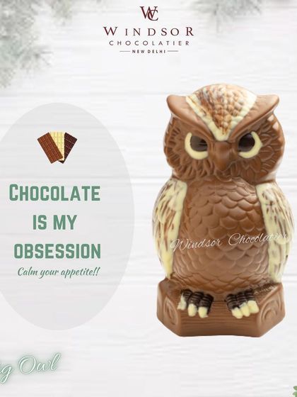 A large, highly detailed chocolate owl, featuring textured feathers created with layers of milk and white chocolate. This is a popular item, especially around Diwali.