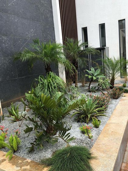 Sora Garden Design - Garden Maintenance Water-Wise & Dry Gardens photo 8