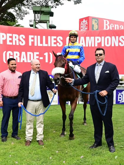 'Akitania', the winner of The Amokbash Million, looking splendid in the winner's enclosure.