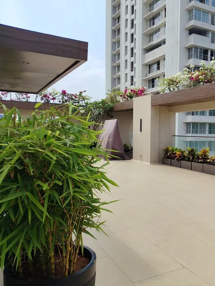The lush bamboo plant adds a touch of tropical elegance and provides a natural screen on this terrace.