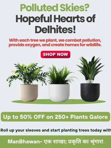 As a proud Delhiite, I am passionate about combating our city's pollution. With every plant you buy, we take a step together towards cleaner air and a greener city. This is our mission, and we're offering great deals to help you join us in making a real difference.