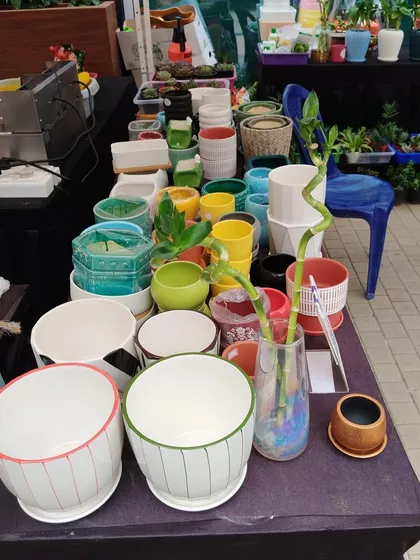 I always bring a wide selection of my designer pots to events. This table shows a variety of ceramic and glass planters, along with a lucky bamboo arrangement, ready for customers to mix and match.