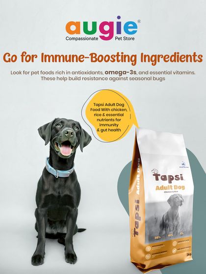 Augie Pets - Pet Supplies Fuel for Happy Hounds: Wholesome Dog Nutrition photo 6