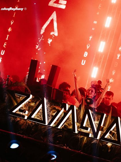 The crowd at Zamna India with their hands in the air, with the festival's branding glowing in the background. This captures the collective energy of the audience.