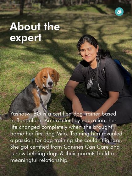 The Pack - Pet-Friendly Adventures & Meetups Guided Treks & Nature Hikes photo 20