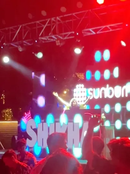 A wide shot showing the huge stage setup and the crowd in front of me at Sunburn. It was a night of pure magic.