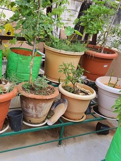 The Garden Hub - Garden Maintenance Garden Stands & Terrace Protection photo 15