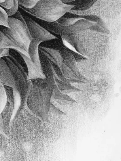 Another detail shot showing the subtle play of light and shadow on the dahlia's petals.