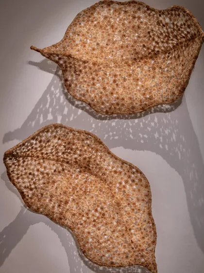 Two leaf forms from the 'Biography' series displayed at The Sculpture Park in Jaigarh. The caption describes them as "a leaf reborn from waste," symbolizing renewal and the fragile balance between consumption and nature.