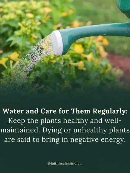 It is very important to care for your plants. Healthy, vibrant plants enhance positive energy, while dying or unhealthy plants can attract negative energy and stagnation into your space.