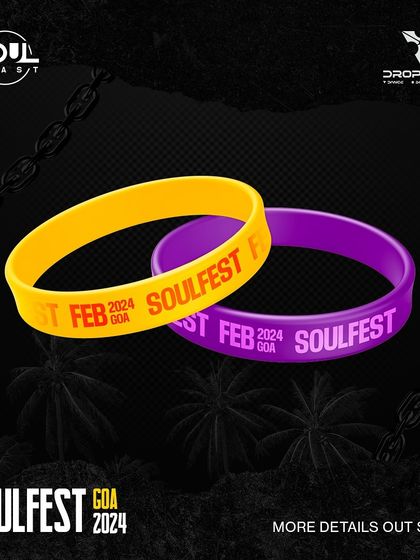 Dianna - Music Event Curation & Production Soul Fest: My Flagship Festival Experience photo 8