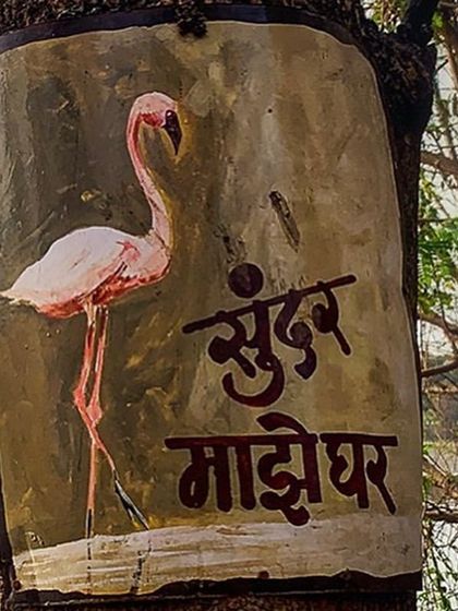 Campaigns for Change: Giving Nature a Voice photo 6