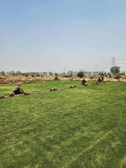 Delhi Gardner - Full-Service Landscaping Premium Lawn & Turf Solutions photo 17