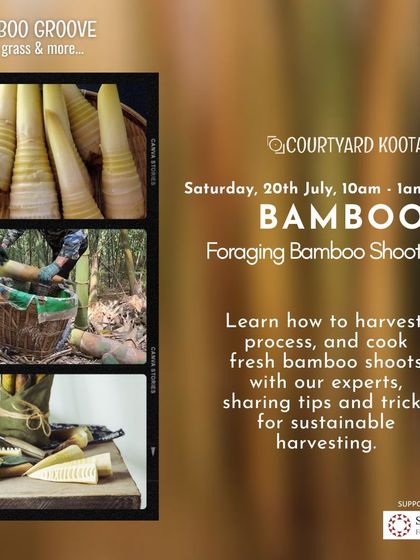 Poster for the "Foraging Bamboo Shoots" workshop, where participants learned to harvest, process, and cook this unique ingredient.