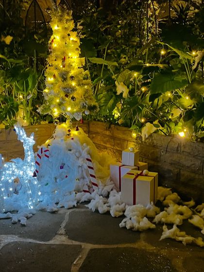 Sukh Decor - Corporate Event Decoration Festive & Themed Celebrations photo 8