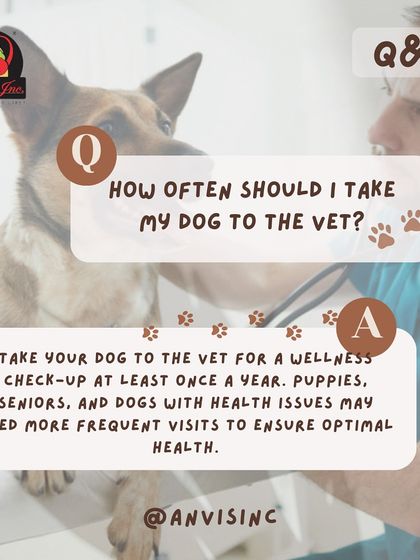 Anvis - Pet Relocation Preparing for Travel: Health, Safety & Documentation photo 22