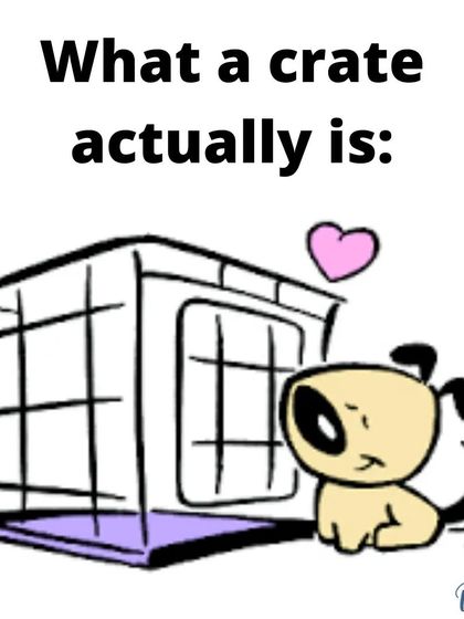 This is what a crate should be: a cozy den that your dog loves. My goal is to help you make the crate your dog's favorite place in the house.