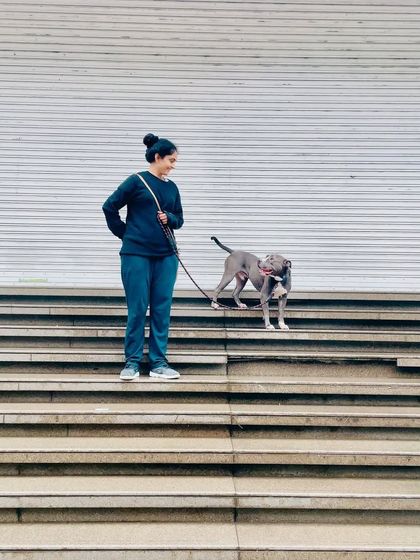 Cupa - Pet Adoption, Fostering & Sponsorship Happy Tails: Our Adoption Success Stories photo 8