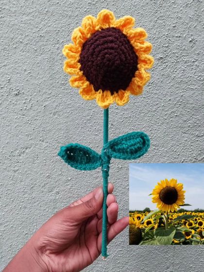 My crochet sunflower stick, compared side-by-side with a real sunflower.