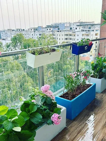 This is how we transform an urban balcony into a vibrant escape. Using a mix of colorful planters and railing boxes, we introduced flowering plants like hydrangeas and vincas, creating a beautiful view and a happy space high above the city.