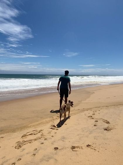 Walks are for all terrains, like a beautiful, sunny day on a sandy beach.