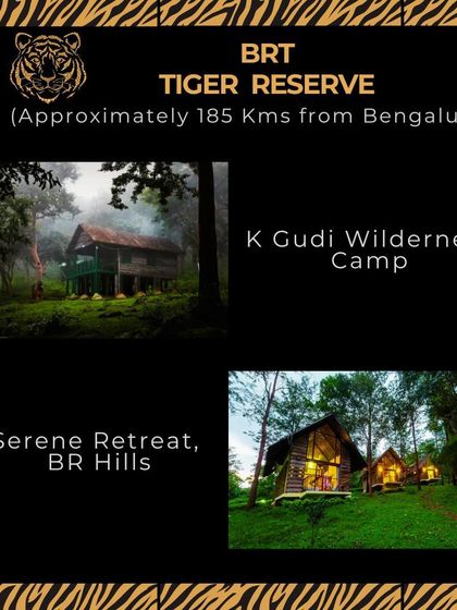 The BRT Tiger Reserve, just 185 kms from Bangalore, is a unique ecosystem where the Eastern and Western Ghats meet. K Gudi Wilderness Camp is the best place to experience its raw beauty.